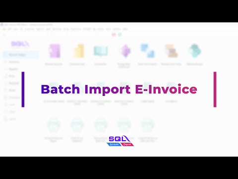 Batch Import E-Invoice